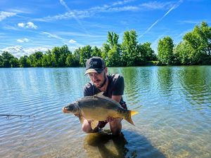 Mirror Carp