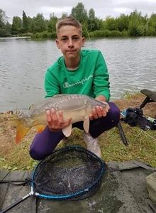 Mirror Carp