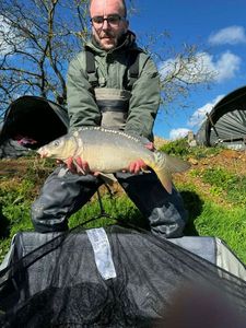 Leather Carp