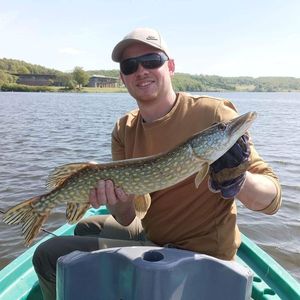 Northern Pike