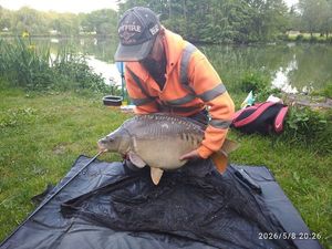 Mirror Carp