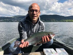 Rainbow Trout