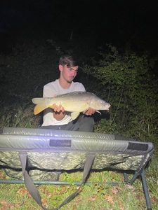 Common Carp