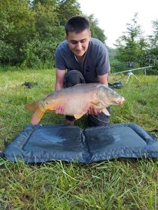 Common Carp