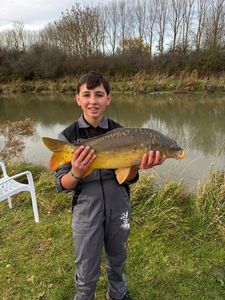 Mirror Carp