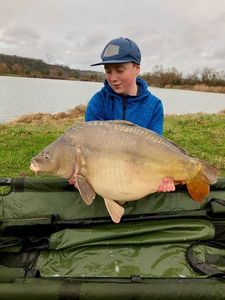 Mirror Carp