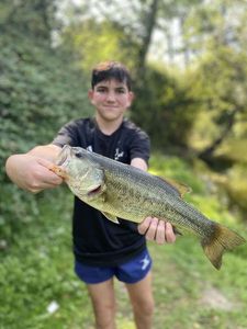 Smallmouth Bass