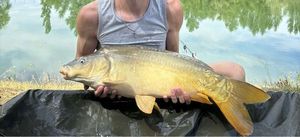 Mirror Carp