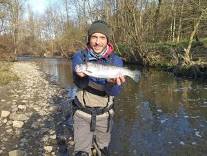 Rainbow Trout