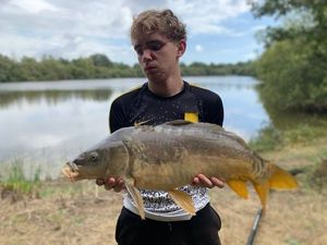 Mirror Carp