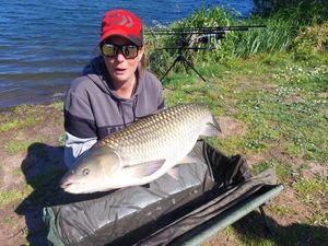 Grass Carp