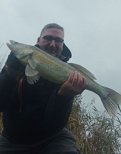 Zander