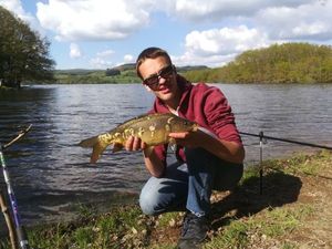 Mirror Carp