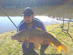 Mirror Carp