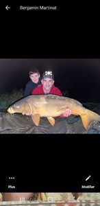 Mirror Carp
