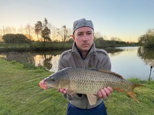 Common Carp