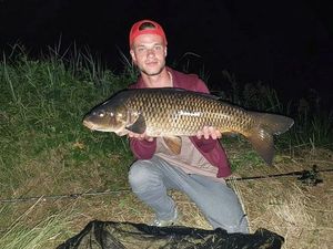 Common Carp