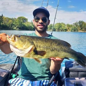 Largemouth Bass