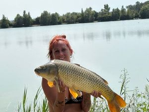 Common Carp
