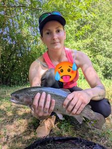 Rainbow Trout