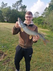 Northern Pike