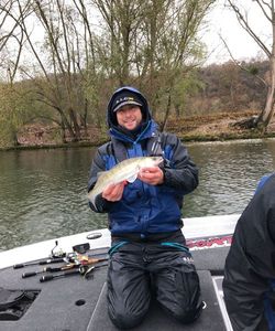 Zander