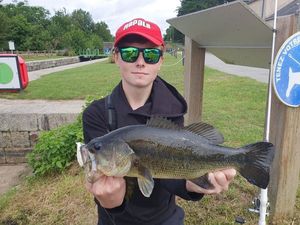 Largemouth Bass