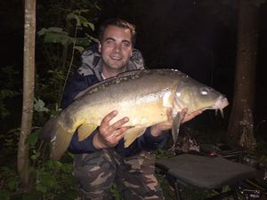 Mirror Carp