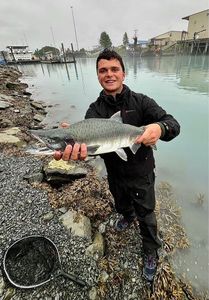 Pink Salmon