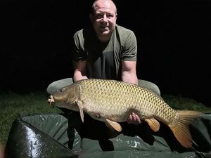 Common Carp