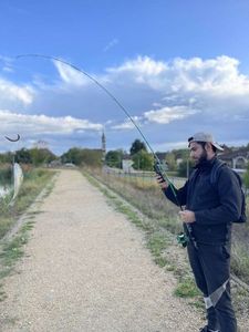 Largemouth Bass