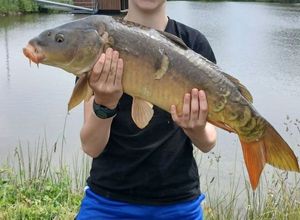 Mirror Carp