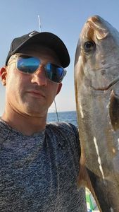 Greater Amberjack