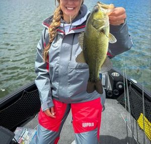Largemouth bass