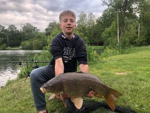 Common Carp