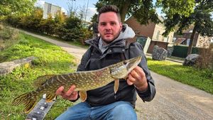Northern Pike