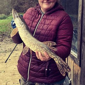 Northern Pike