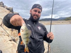 European Perch
