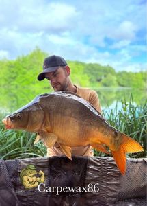 Leather Carp