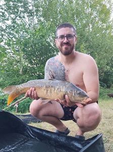 Mirror Carp