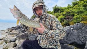 Northern Pike
