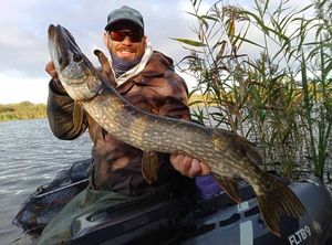 Northern Pike