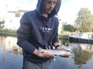 Cutthroat Trout