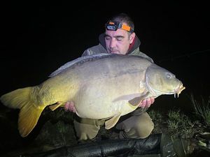 Mirror Carp