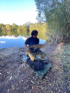 Grass Carp