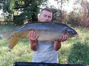 Mirror Carp