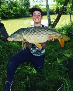 Common Carp