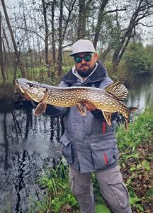 Northern Pike