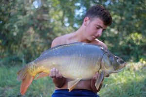 Mirror Carp