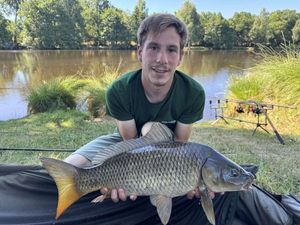 Common Carp